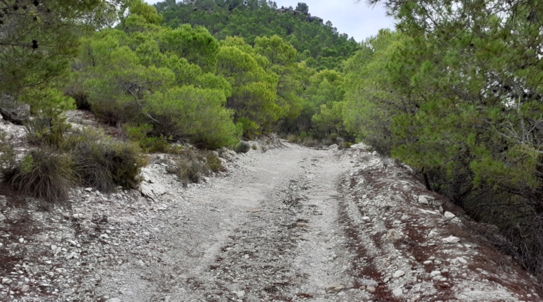 Murcia - Moratalla - 30000m2