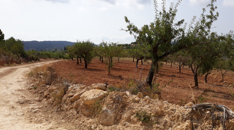 Castellón - Cuevas de Vinromá - 28588m2