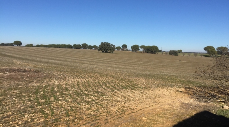Cuenca - Casas de Benítez - 45000m2