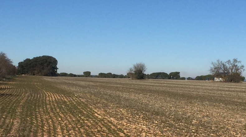 Cuenca - Casas de Benítez - 45000m2