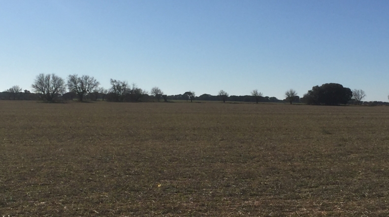 Cuenca - Casas de Benítez - 45000m2