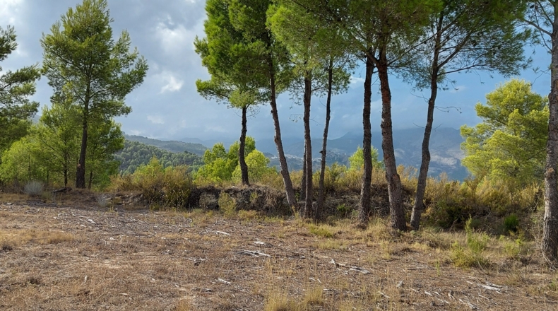 Alicante - Guadalest - 10000m2