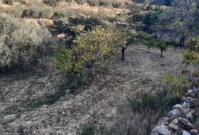 Pedralba 9000&nbsp;m² 