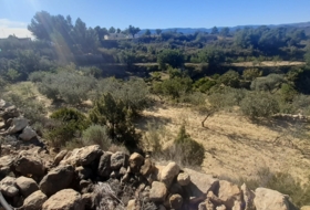 Pedralba 9000&nbsp;m² 