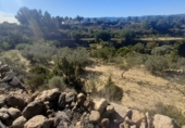 Terreno con Almacén en venta en la partida del quemado, Pedralba, ref: TR8599 foto