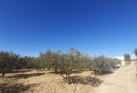 Pedralba 9000&nbsp;m² 