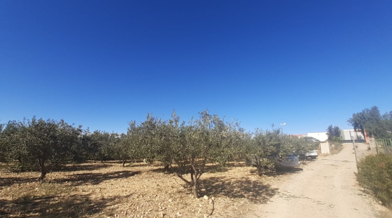 Valencia - Pedralba - 9000m2