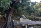 Terreno con Almacén en venta en la partida del quemado, Pedralba, ref: TR8599 foto