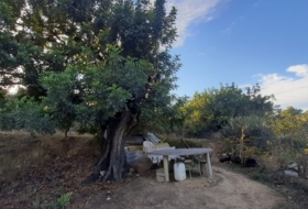 Pedralba 9000&nbsp;m² 