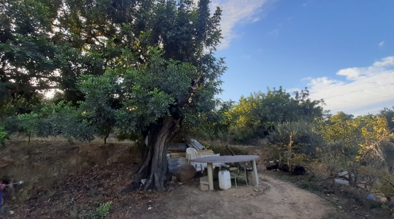 Valencia - Pedralba - 9000m2