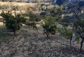 Pedralba 9000&nbsp;m² 
