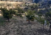 Terreno con Almacén en venta en la partida del quemado, Pedralba, ref: TR8599 foto