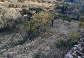 Terreno con Almacén en venta en la partida del quemado, Pedralba, ref: TR8599 foto