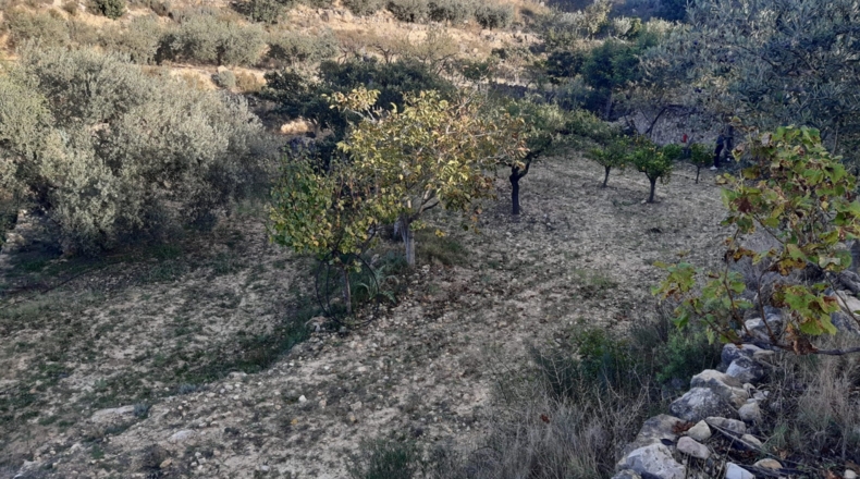 Valencia - Pedralba - 9000m2