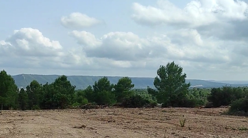 Valencia - Chella - 10100m2