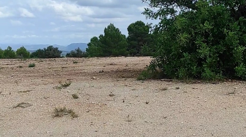 Valencia - Chella - 10100m2