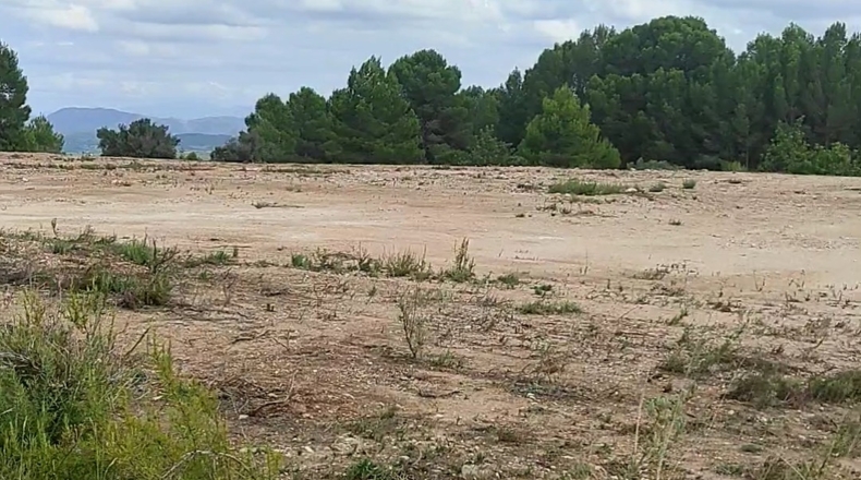 Valencia - Chella - 10100m2