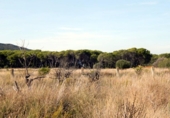 Sòl urbà en venda a la calle alcipe, Dénia, ref.: TR9328 foto