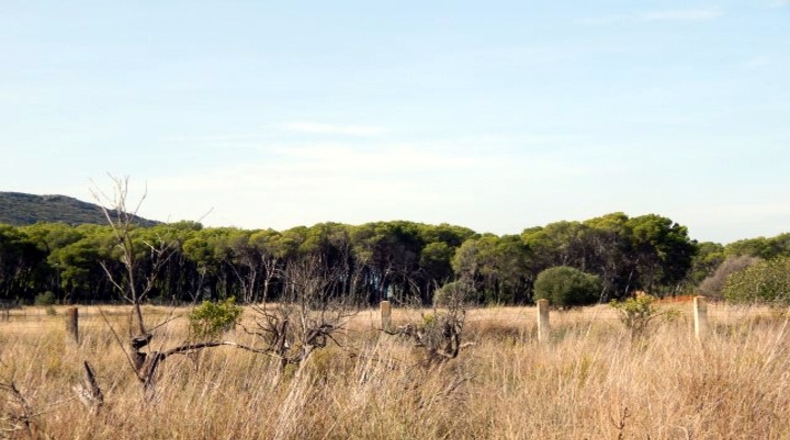 Alicante - Denia - 800m2