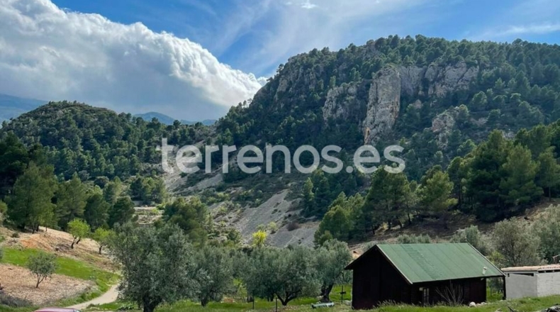 Alicante - Abdet - 3365m2
