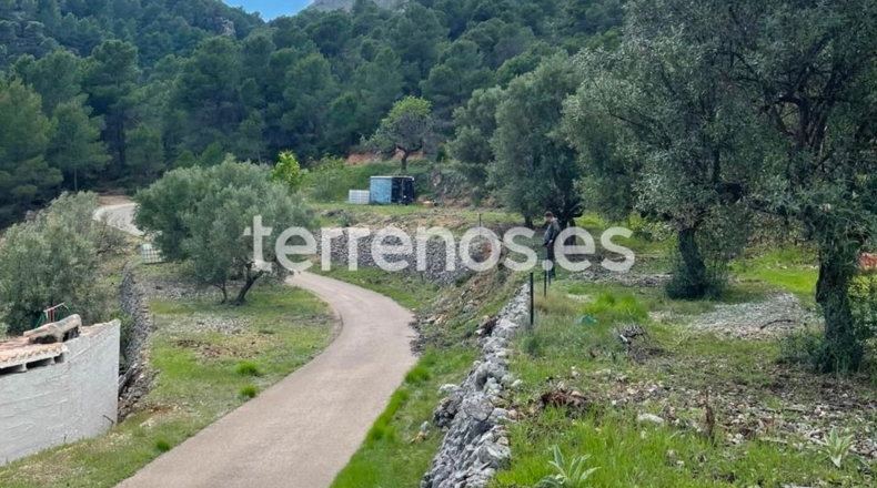 Alicante - Abdet - 3365m2
