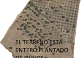 Terreno no urbanizable en venta en la Sendero Camino Viejo de Ronda, Montejaque, ref: TR9441 foto
