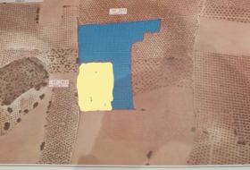Osuna 220000&nbsp;m² 