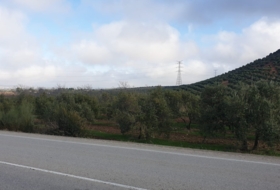 Osuna 220000&nbsp;m² 