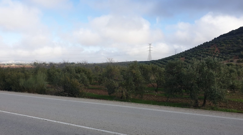 Sevilla - Osuna - 220000m2
