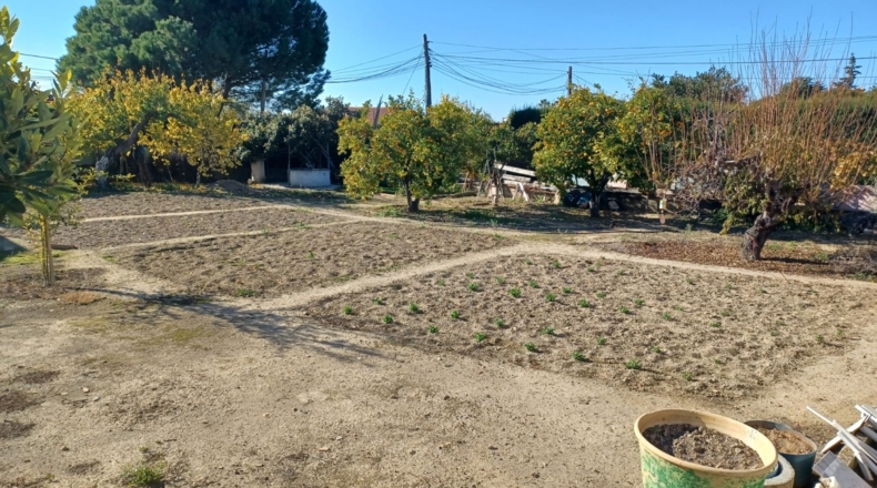 Sevilla - Valencina de la Concepción - 1157m2
