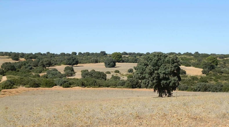 Albacete - Albacete - 160000m2