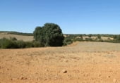 Rural estate for sale on Plaza de la Mancha, Albacete, ref: TR9877 photo