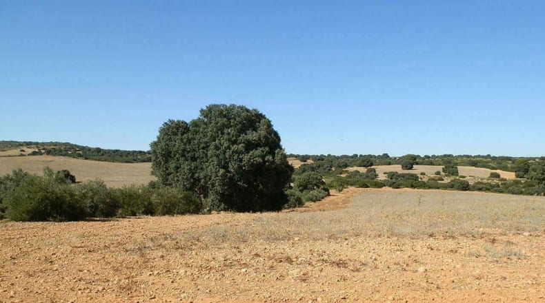 Albacete - Albacete - 160000m2