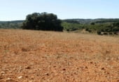Rural estate for sale on Plaza de la Mancha, Albacete, ref: TR9877 photo