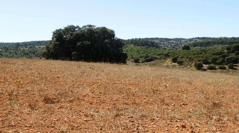 Albacete - Albacete - 160000m2