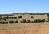 Rural estate for sale on Plaza de la Mancha, Albacete, ref: TR9877 photo