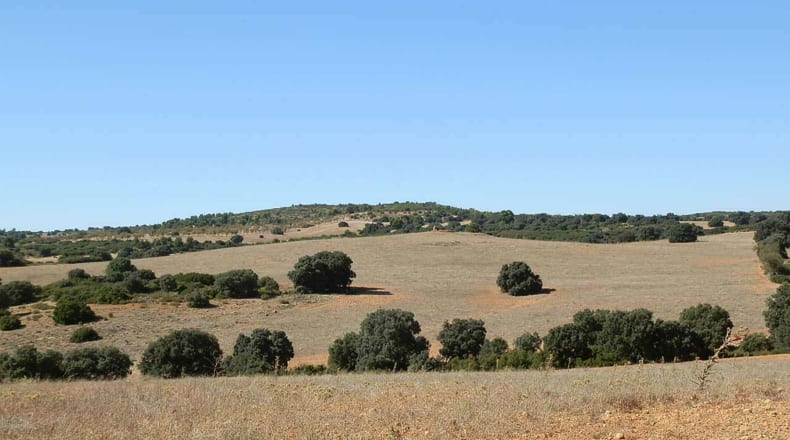 Albacete - Albacete - 160000m2