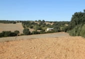 Rural estate for sale on Plaza de la Mancha, Albacete, ref: TR9877 photo