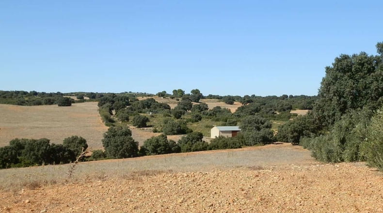Albacete - Albacete - 160000m2