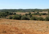 Rural estate for sale on Plaza de la Mancha, Albacete, ref: TR9877 photo