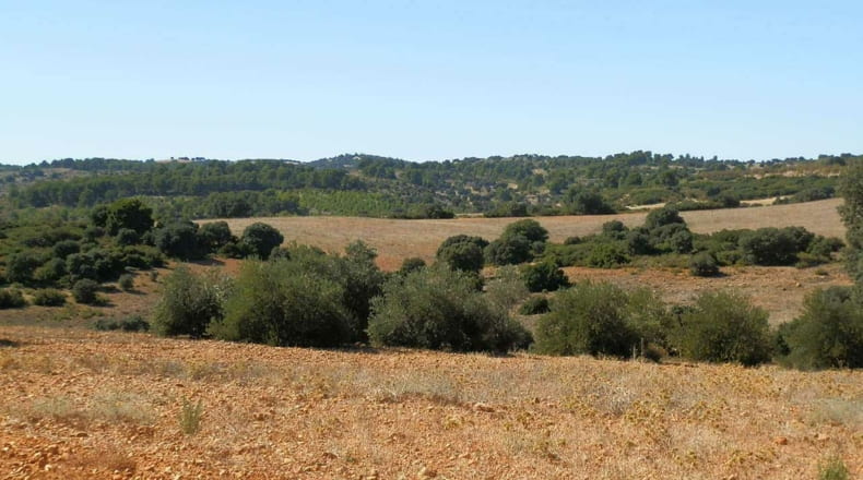 Albacete - Albacete - 160000m2