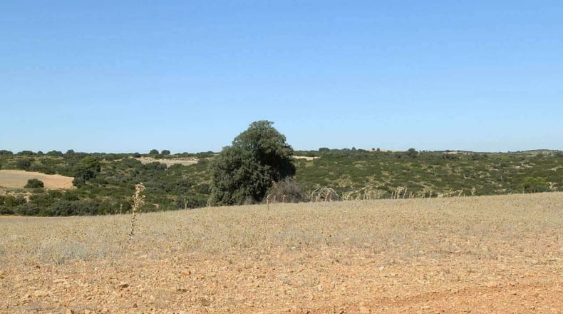 Albacete - Albacete - 160000m2