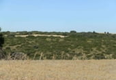Rural estate for sale on Plaza de la Mancha, Albacete, ref: TR9877 photo