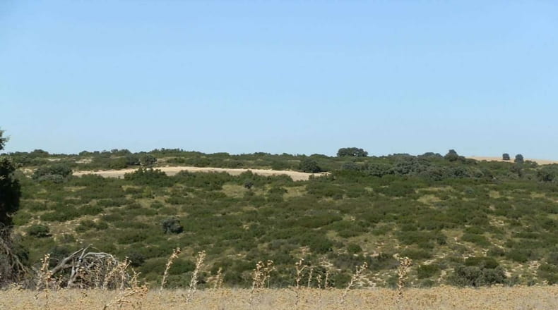 Albacete - Albacete - 160000m2
