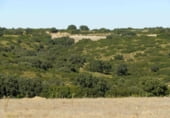 Rural estate for sale on Plaza de la Mancha, Albacete, ref: TR9877 photo