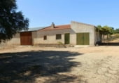 Rural estate for sale on Plaza de la Mancha, Albacete, ref: TR9877 photo