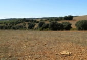 Rural estate for sale on Plaza de la Mancha, Albacete, ref: TR9877 photo