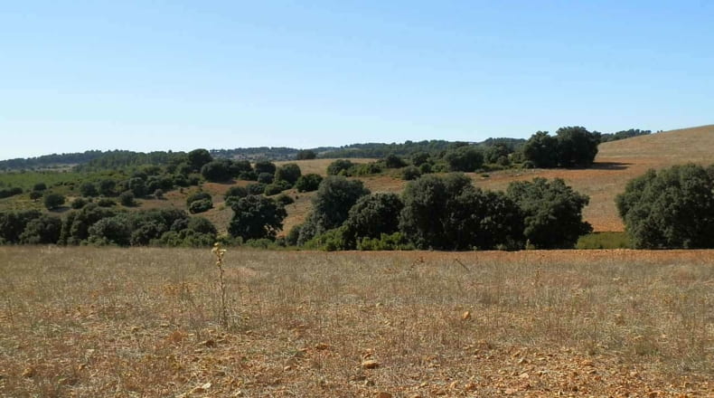 Albacete - Albacete - 160000m2