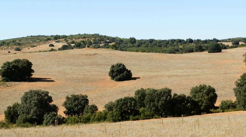 Albacete - Albacete - 160000m2