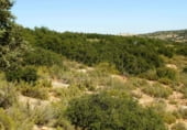 Rural estate for sale on Plaza de la Mancha, Albacete, ref: TR9877 photo